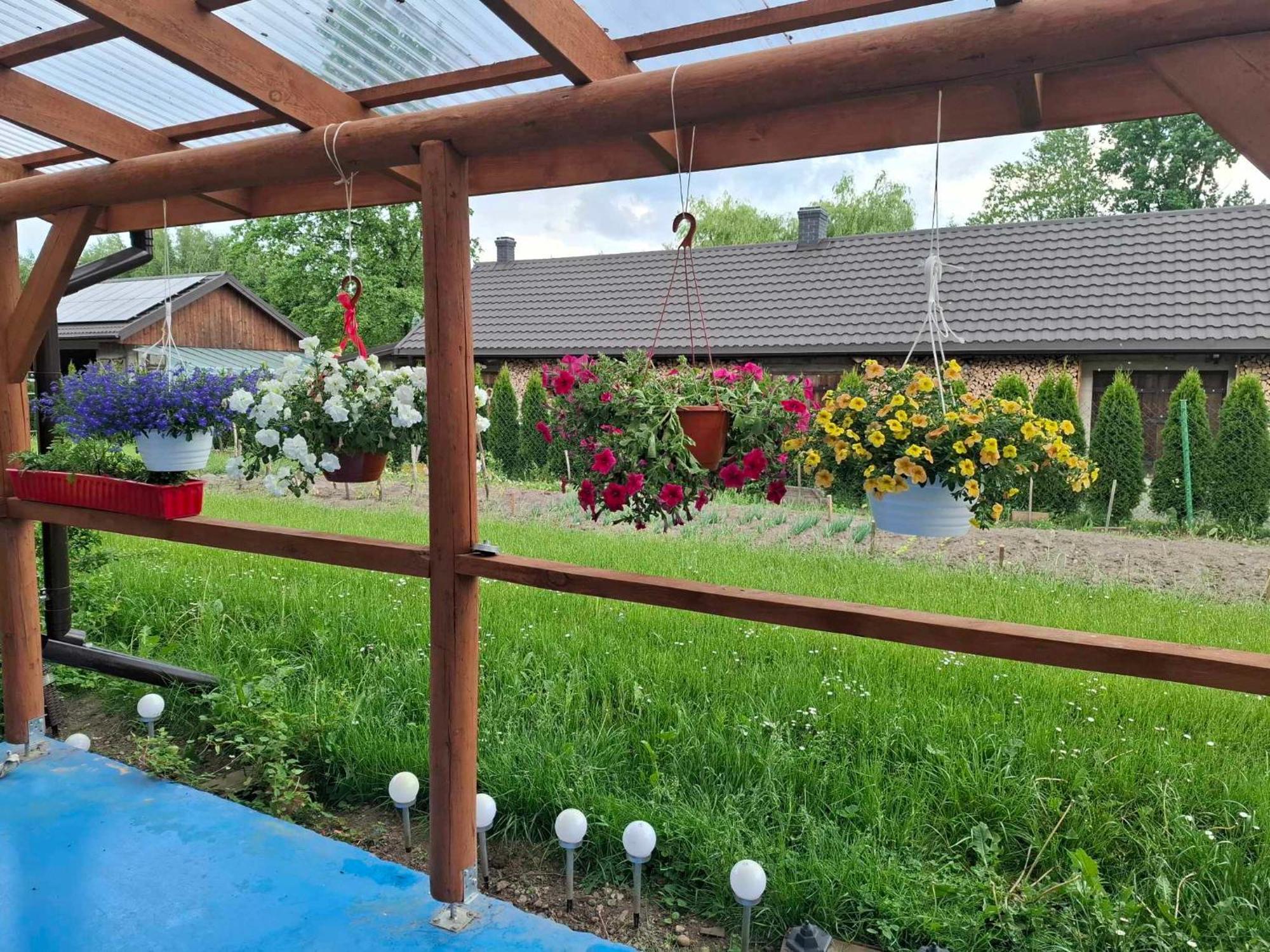Agroturystyka Przy Rajskim Sadzie Nowoberezowo Exterior photo